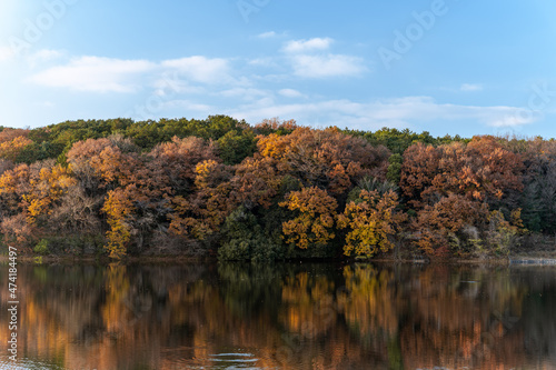 Beautiful morning in the Moomin pack reflects lake water with autumn. Seasonal colourful nature background. Japanese garden.