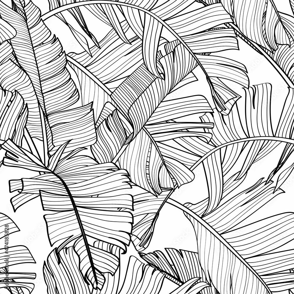 Botanical seamless pattern, hand drawn line art banana leaves on white.  Printable black white wallpaper or textile illustration.