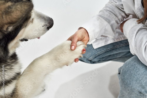 Cropped image of girl holding dog paw in her hand