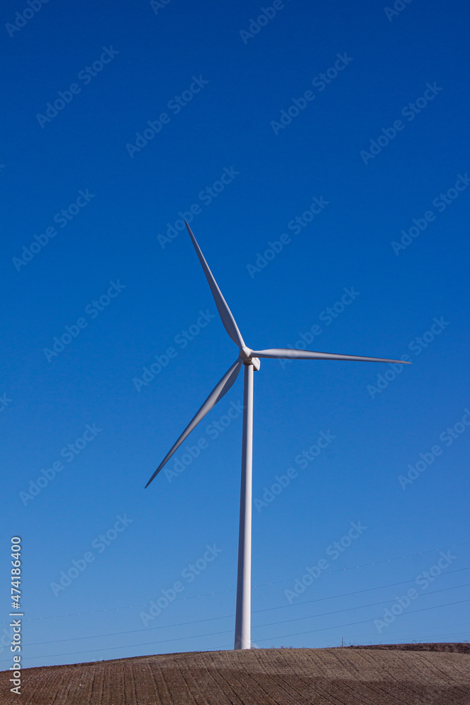 Eolico Park. Renewable energy. Wind power mills Eolico Park. Renewable energy. Wind power mills