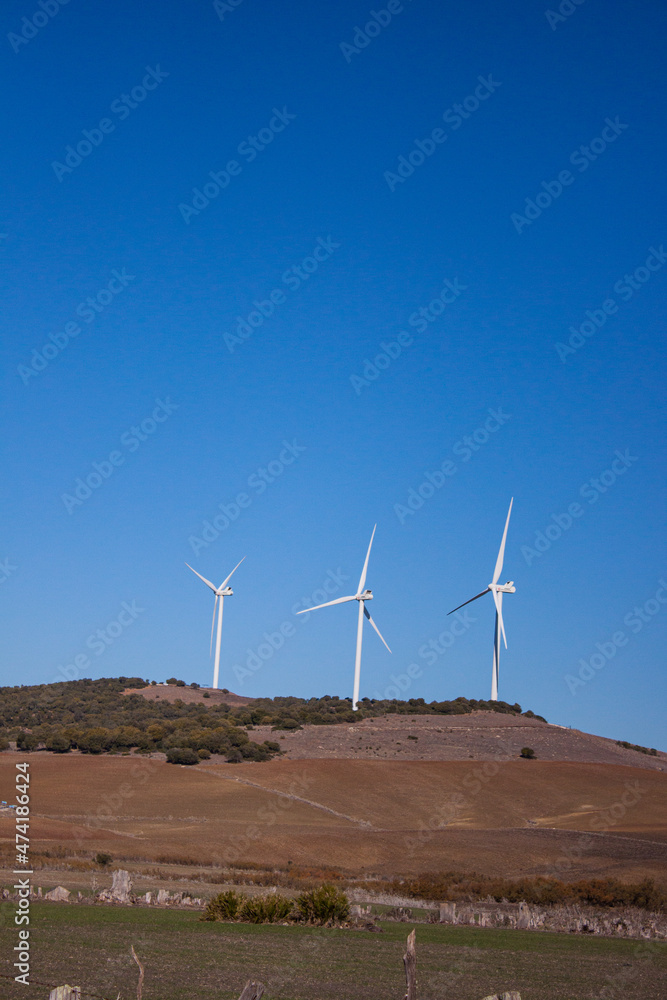 Eolico Park. Renewable energy. Wind power mills Eolico Park. Renewable energy. Wind power mills