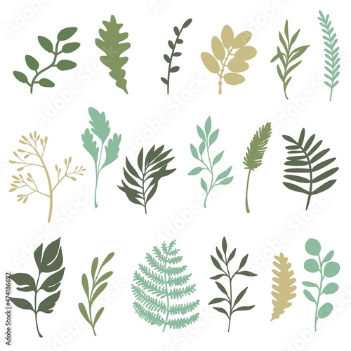 Set of plants and herbs. Colored flat vector illustration isolated on white
