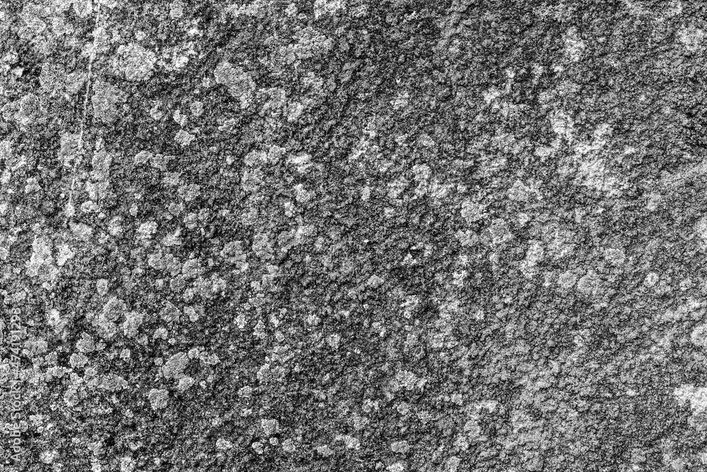 Fototapeta premium Concrete texture with streaks and stains. Gray structural background. Close up.