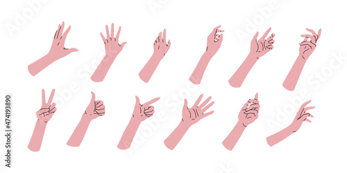 Set collection of cartoon hands. Different set positions. Angles, references clipart template. Wrist, palm