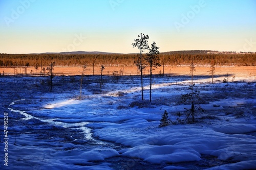 View over nature reserve Vithattsmyrarna, the mires at Mount Vithatten, in northern Sweden photo