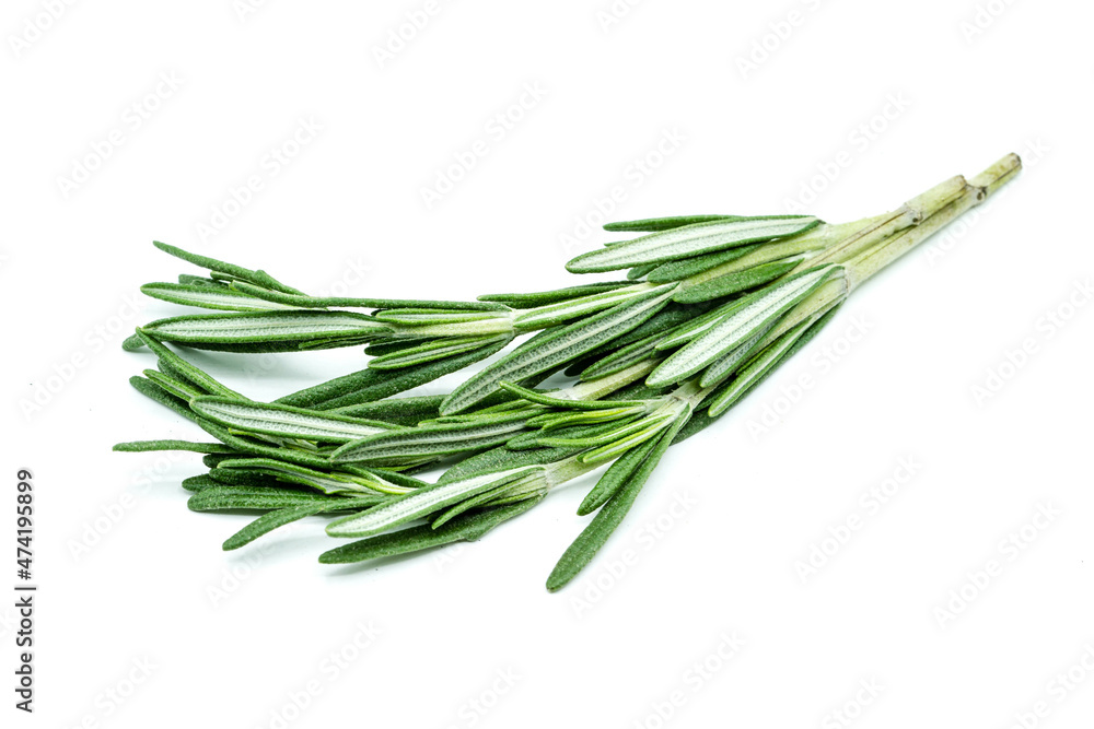 Fototapeta premium Rosemary isolated on white background