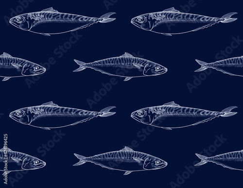 Vector graphics, drawings by hand. Fish mackerel. Seamless pattern.