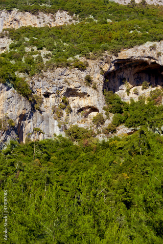 green nature in the mountains © dogmer