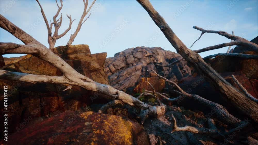 dry dead tree branches and mountain ridge dry dead tree branches and mountain ridge