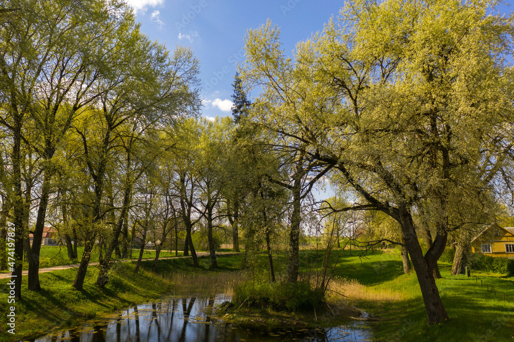 Drone photography of small pond surrounded by trees