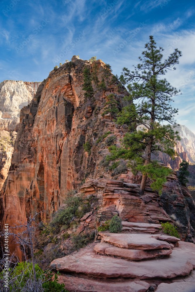 Angels landing hike in Zion National Park
