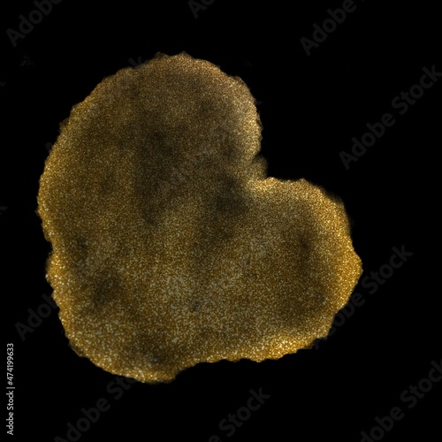 Beautiful elegant golden dusty stain for a beautiful designs