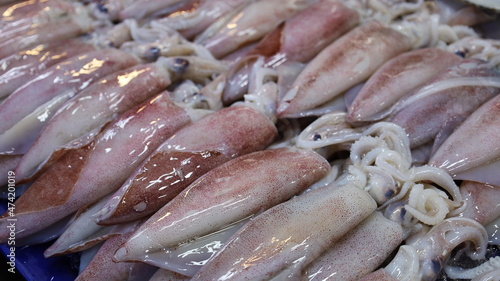 Bild auf Leinwand Fresh squid on a tray