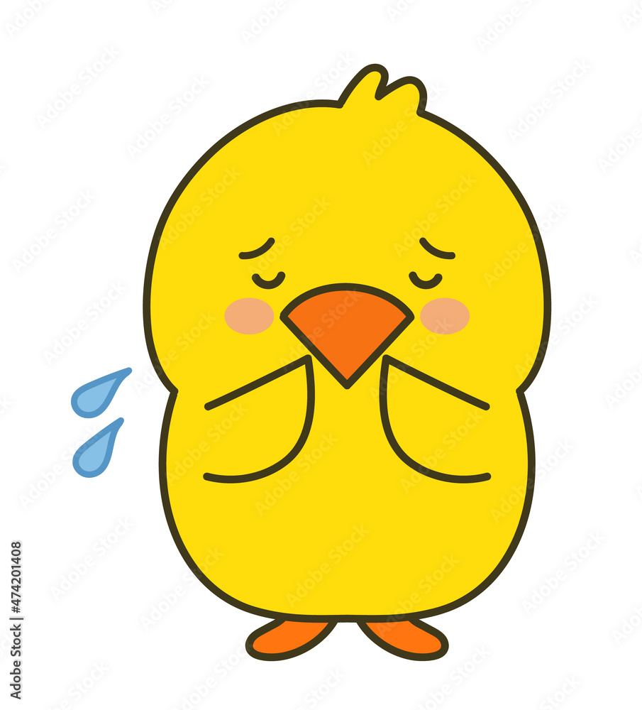 Chick worried something. Vector illustration isolated on a white background. Chick worried something. Vector illustration isolated on a white background.