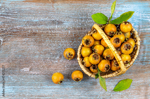 Fresh basket of Medlars Mespifus germanica photo