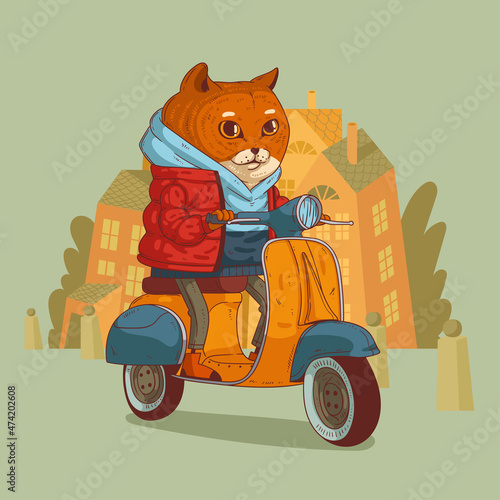 Vector illustration of cool humanized cat riding a scooter. Anthropomorphic cat. Animal character with human body. Calm hipster cat wearing a hoody and down jacket riding yellow retro scooter in style