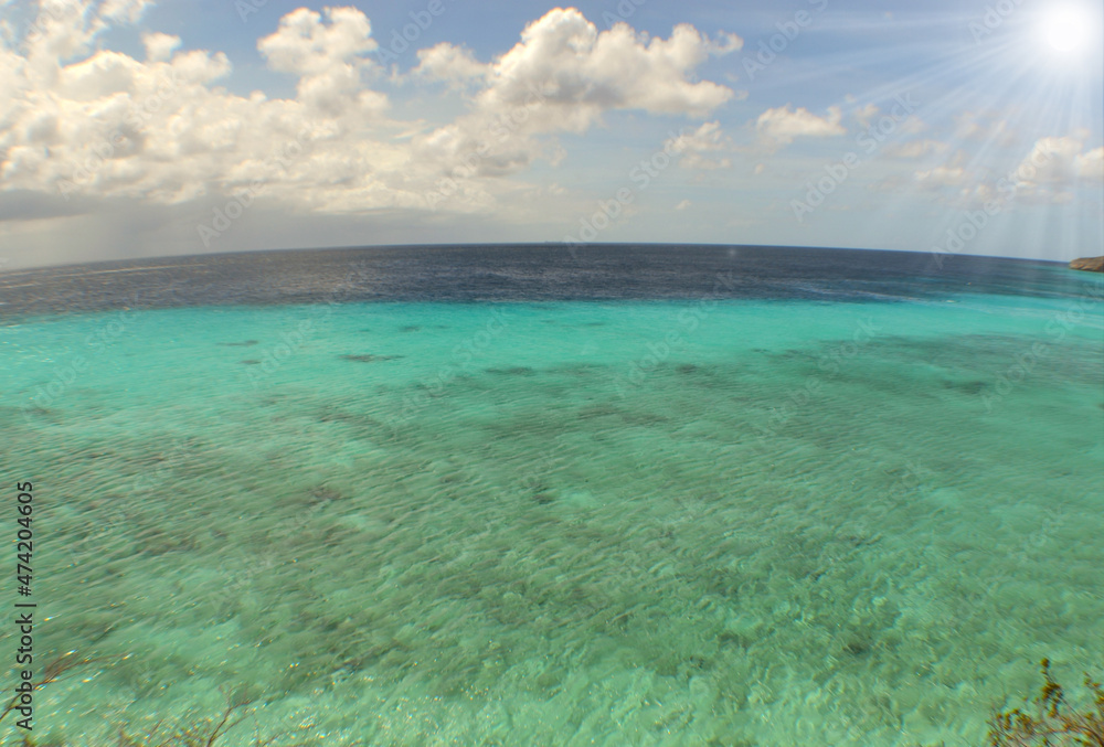 Fototapeta premium underwater paradise , caribbean sea , Curacao island