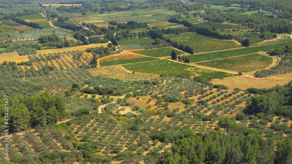 Plantation of olive trees in the valley of Les Baux de Provence, France seen from above Plantation of olive trees in the valley of Les Baux de Provence, France seen from above