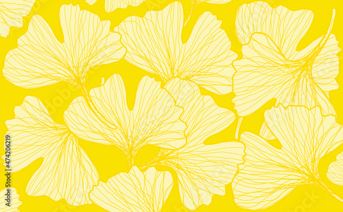 Yellow Ginkgo biloba leaves pattern background. Vector illustration
