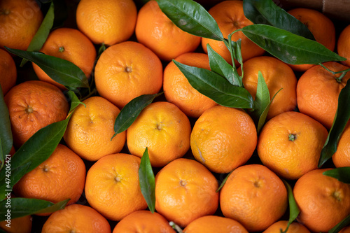 background of natural fresh tangerine with green leaves