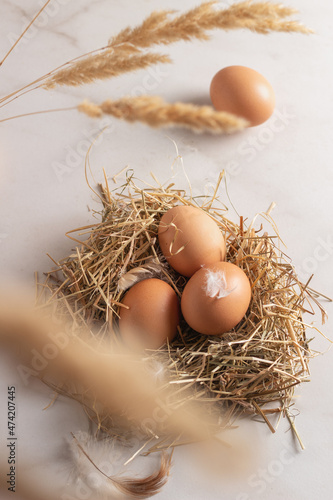 Fresh brown chicken eggs in hay nest. Healthy egg concepts