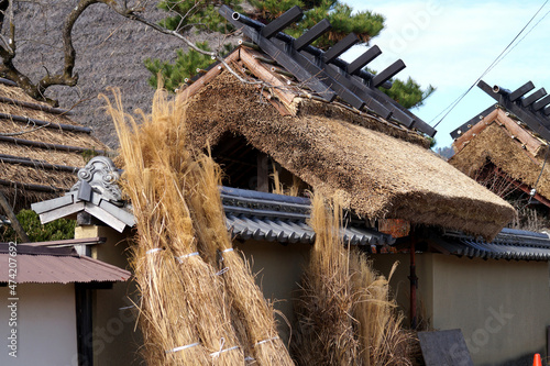 丹波篠山　武家屋敷群　かやぶき屋根修繕中　冬　12月 photo