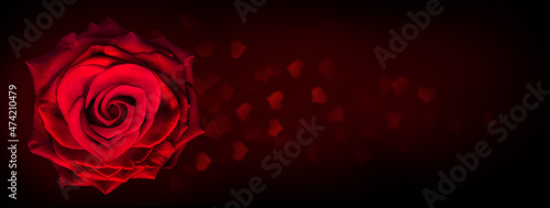 Red Rose flower in heart shape on dark background with heart shaped bokeh light.