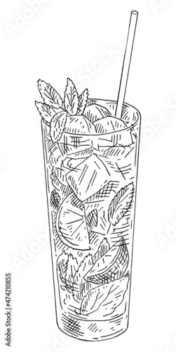 Mojito cocktail with lime and mint in highball glass. Vintage engrave vector