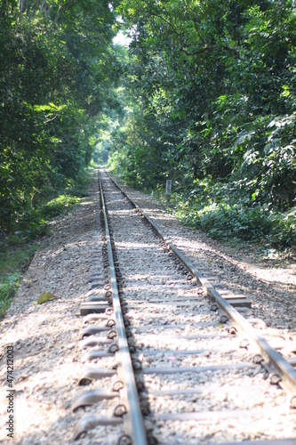 The beautiful railway in the forest