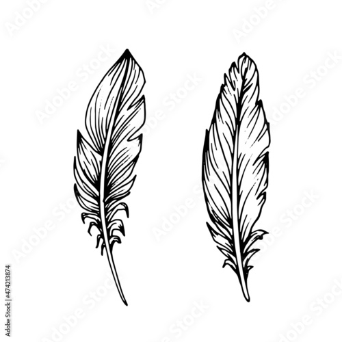 Hand drawn black feathers. Ethnic boho style hand drawing.
