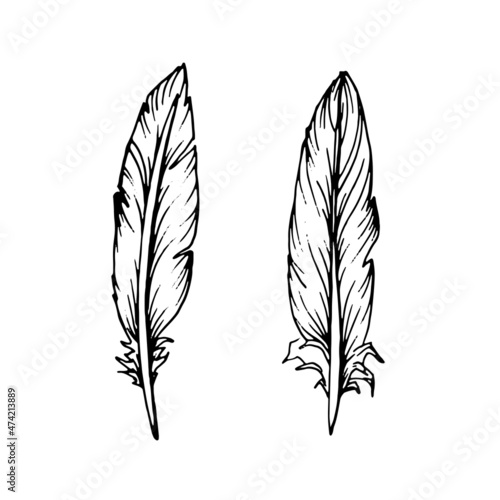 Hand drawn black feathers. Ethnic boho style hand drawing.