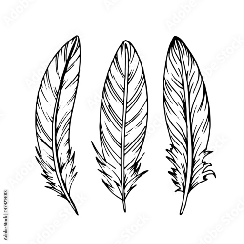 Hand drawn black feathers. Ethnic boho style hand drawing.