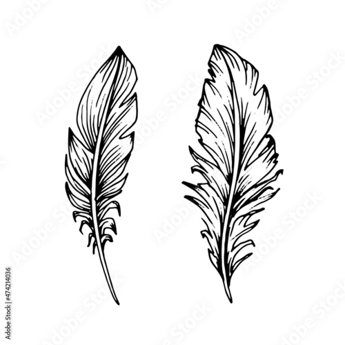 Hand drawn black feathers. Ethnic boho style hand drawing.