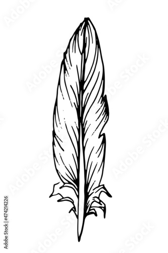 Hand drawn black feather. Ethnic boho style hand drawing.