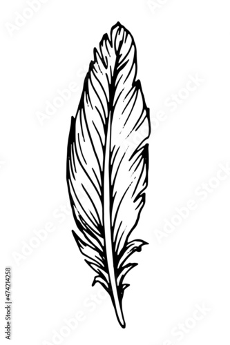 Hand drawn black feather. Ethnic boho style hand drawing.
