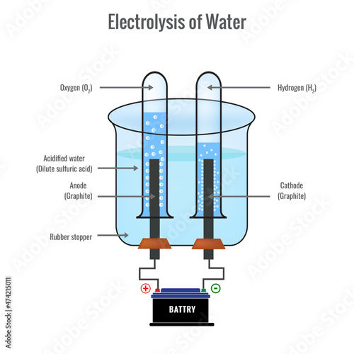 Electrolysis of water forming Hydrogen and Oxygen vector illustration