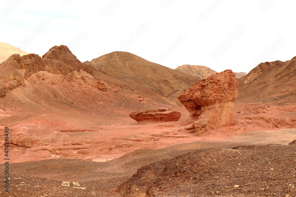 Fototapeta premium Timna Park in Israel.