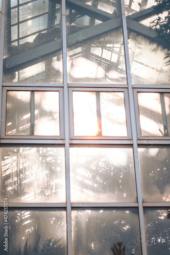 Sun shinning through the glass of a greenhouse