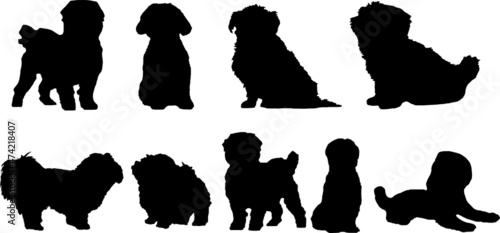 Maltese Dog Silhouette Bundle SVG