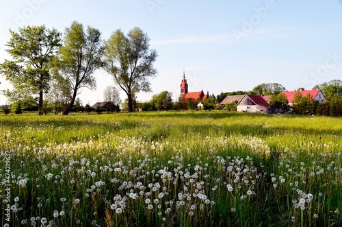 Wiosna na wsi Warmińskiej 