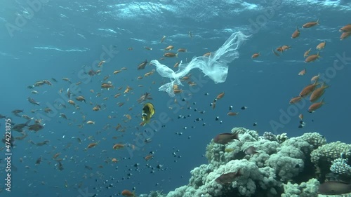 Underwater plastic pollution - A piece of plastic bag drifting above coral reef with school of propical fish, gradually collapsing and turns into microplastics  photo