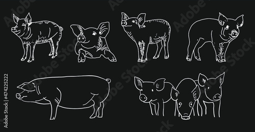 Vintage Butcher shop hand - drawn. Retro Menu Restaurant poster. Vector. Fresh meat products. Design element for poster, menu, flyer, banner, package.