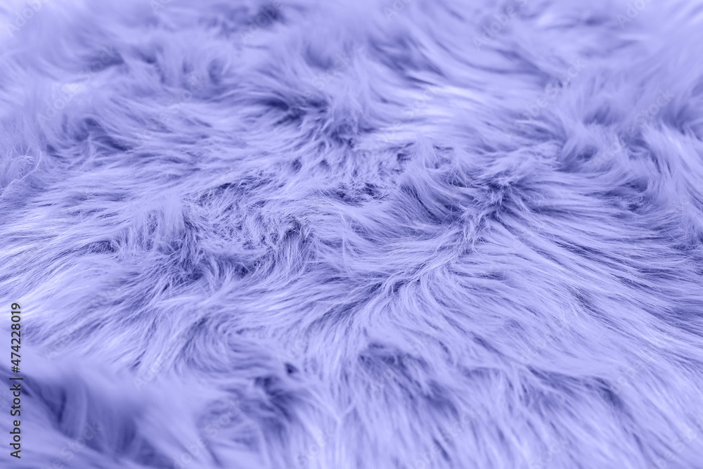 Violet fur background. Violet sheepskin background and texture.