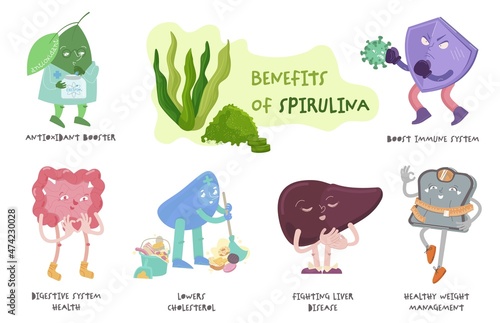 Spirulina algae health benefits infographic, superfood advertising poster.
