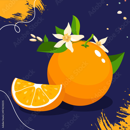 Orange fruit. Colored orange isolated on a dark blue background.