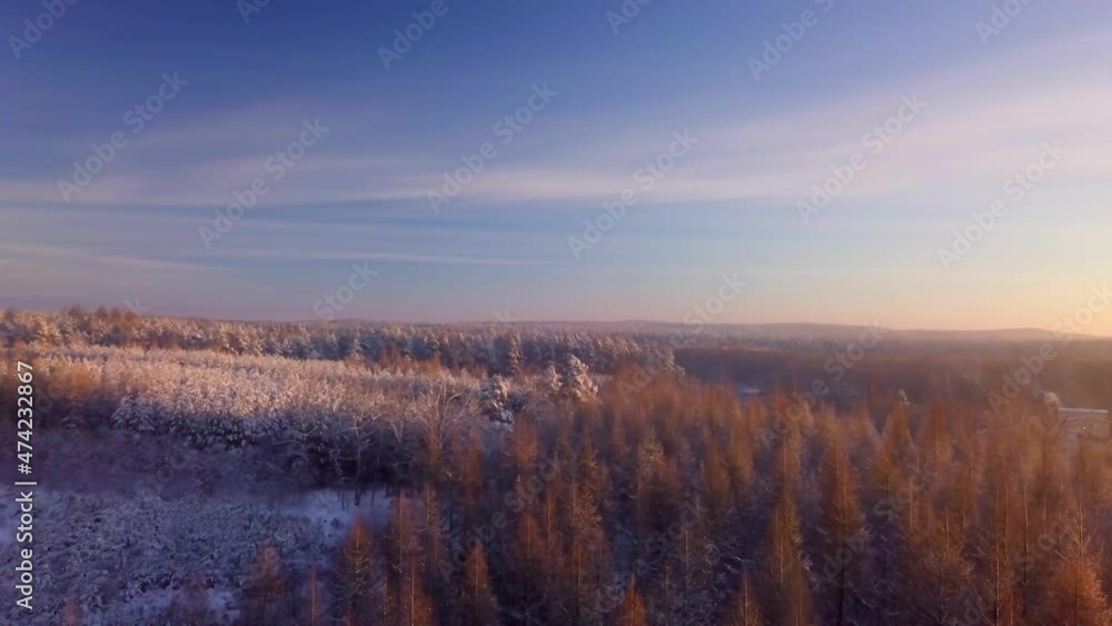 Beautiful winter forest with snowy trees in 4k aerial video. Beautiful winter forest with snowy trees in 4k aerial video.