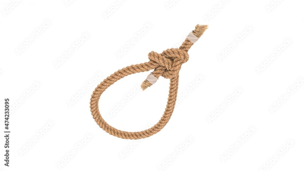 realistic, freestyle, wirefreme 3d rendering of bowline knot 720 turntable on white background realistic, freestyle, wirefreme 3d rendering of bowline knot 720 turntable on white background