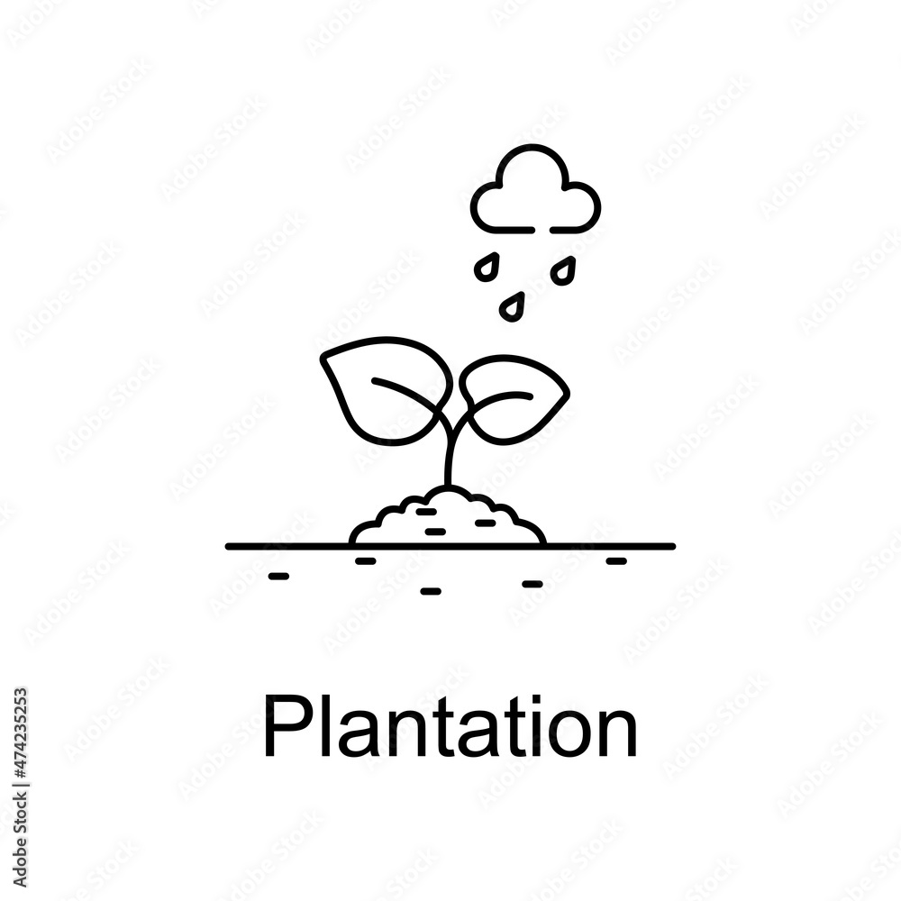 Obraz premium Plantation vector outline icon for web design isolated on white background