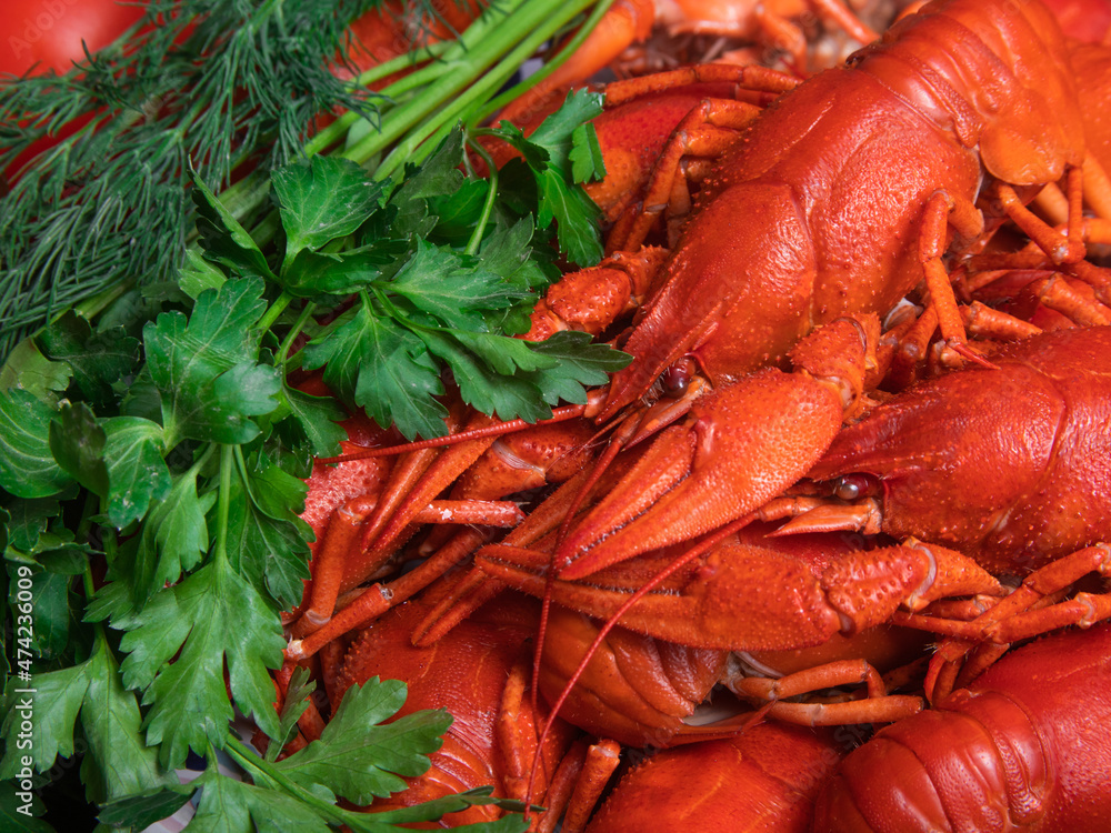 Crayfish party, restaurant, cafe, pub menu. Crayfish party, restaurant, cafe, pub menu.