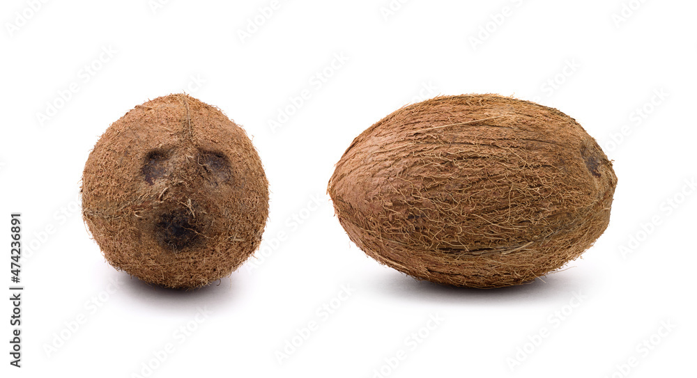 Set of various views of coconut isolated on white background. Set of various views of coconut isolated on white background.